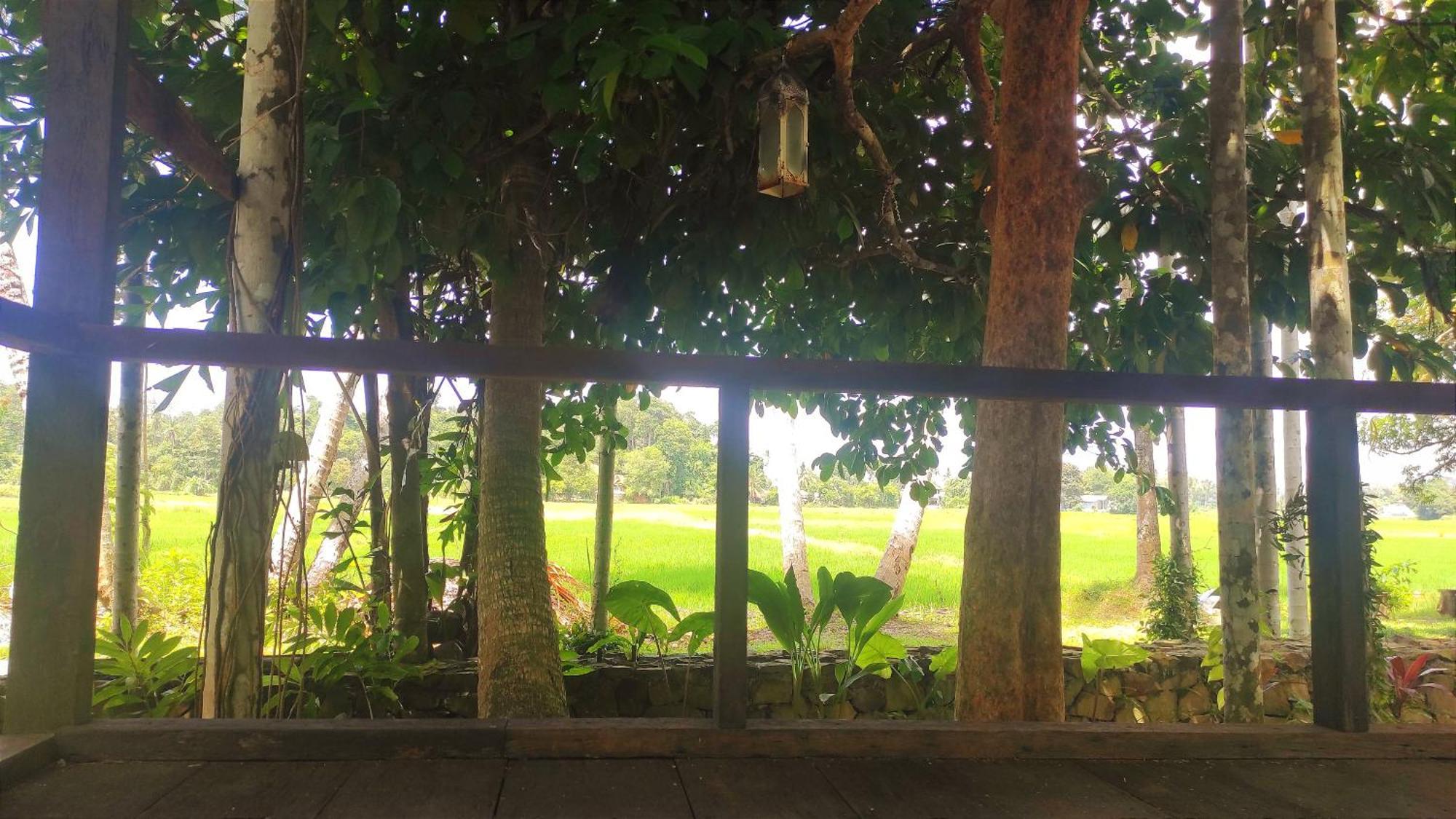 S'Ekar Pinang Langkawi Bed & Breakfast Pantai Cenang  Exterior foto