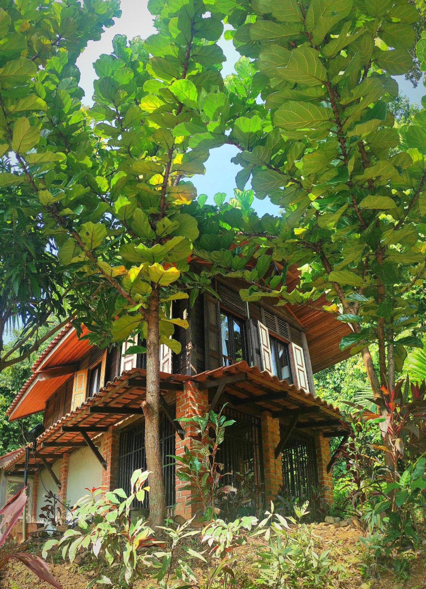 S'Ekar Pinang Langkawi Bed & Breakfast Pantai Cenang  Exterior foto